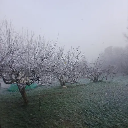 Le Chouette Loft 아파트 Boudou