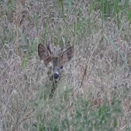 Le Chouette Loft Boudou