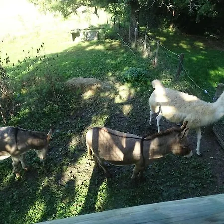 Le Chouette Loft 아파트 *