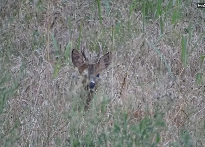Le Chouette Loft Boudou