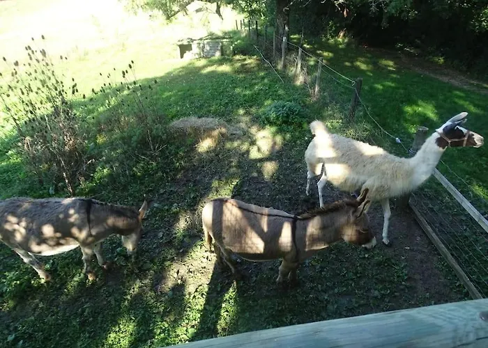 Le Chouette Loft شقة *